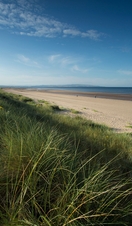 A long sandy beach framed by grassy dunes, with a dog walker in the distance.