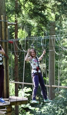 A group of people on high wires at Go Ape in Thetford Forest