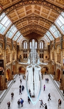 Depuis le balcon d'un musée, on aperçoit un squelette de dinosaure suspendu au plafond.