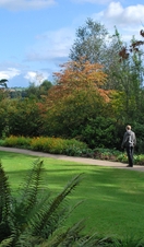 Person walking through Barnett Demesne Park