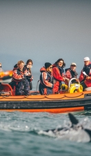 Ramsay Island Boat Trips