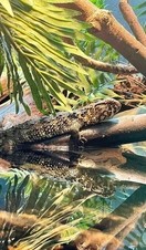 Reptile House, London Zoo