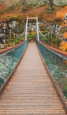 Footbridge over the Blackwater at Rogie in autumn