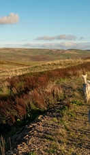 Galloway and Sothern Ayshire UNESCO Biosphere