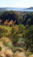 A view of the Cornish coast from Tremenheere Sculpture Gardens