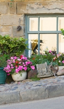 A cottage on a hill with plants in pots outside door