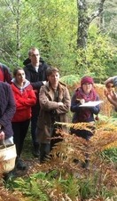 A group of people on a foraging tour on the outskirts of London