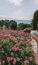 Pink Flowers in Bodnant Gardens