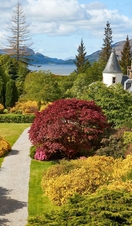 Spring flowers and trees in the Attadale Gardens