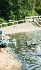 Rufford Abbey Country Park