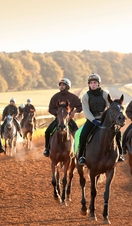 Horses riding on the Newmarket Racecourse