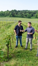 Grape and Grain Tours 