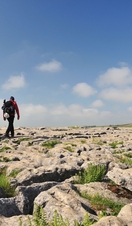 People walking on the limestone pavement above the cliffs
