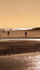 Dog Walking at Gibraltar Point, Lincolnshire, England, United Kingdom at sunset.
