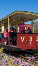 Volks Electric Railway CAR NUMBER NINE IN SUMMER