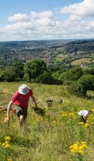 A volunteer conservation group at Solsbury Hill, Bath Skyline