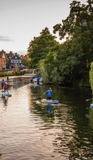 A group of people paddleboarding on the River Wensum