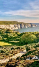 Landscape shot of chalk cliffs and ocean
