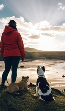 A woman and two dogs overlooking a sandy beach and the ocean. 