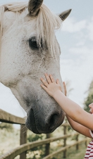 Fishers Adventure Park 