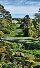 A longshot view of Antony Woodland Garden in Cornwall