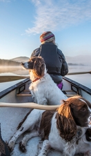 A man canoeing with two spaniels. Clear blue skies
