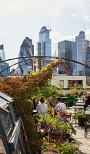 People sitting on Culpeper's roof terrace with the skyline behind them