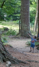 A woman and two children walking through a forest area in the New Forest