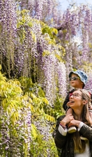 A woman carrying a child on her shoulders, looking at colourful plants in Exbury Gardens