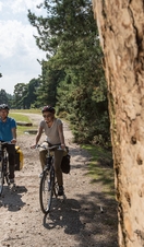 Two people cycling past a tree on a trail in the New Forest.