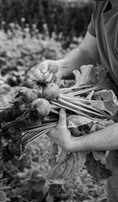 Pig, Hampshire - sustainable food