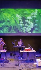A band performing on stage with a variety of music instruments as part of Bangor Music Festival
