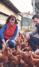 Man and woman kneeling down among flock of brown hens