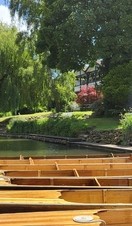 Rows of kayaks lined up on the shore at Bath Boating Station