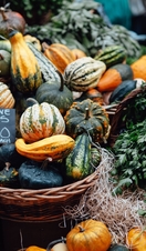 Organic vegetables at farmer's market for sale
