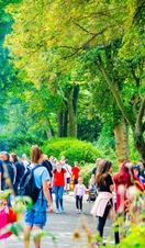People browsing food stalls in Leicester's Castle Gardens