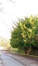 A daytime view of Gravel Walk in Bath
