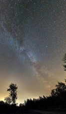 Stars lighting up the night sky above Gisburn Forest, Lancashire