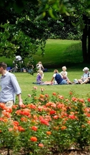 Visitors enjoying a summer’s day in Sir Thomas and Lady Dixon Park