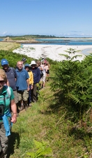Group of people exploring the Isles of Scilly