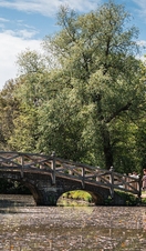 A wooden bridge over water, surrounded by trees