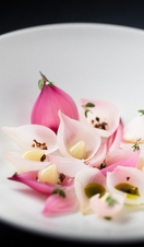 The Cottage In The Wood