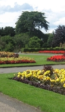 Floral gardens at Markeaton Park