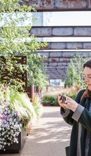 A woman taking a picture of plants and flowers in the gardens of Castlefield Viaduct, Manchester