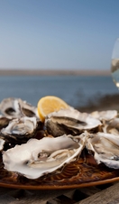 Plate of shucked oysters with a slice of lemon on table