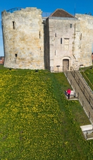 Daffodils at Clifford’s Tower, York