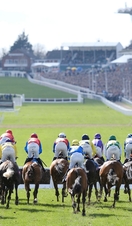 Cheltenham Racecourse, Cheltenham, Gloucestershire