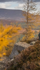 Hiking in the Cairngorms National Park