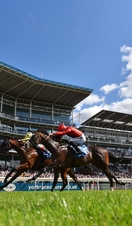 Horses racing past the grandstand at York Racecourse