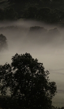 Low mist across fields in the countryside.